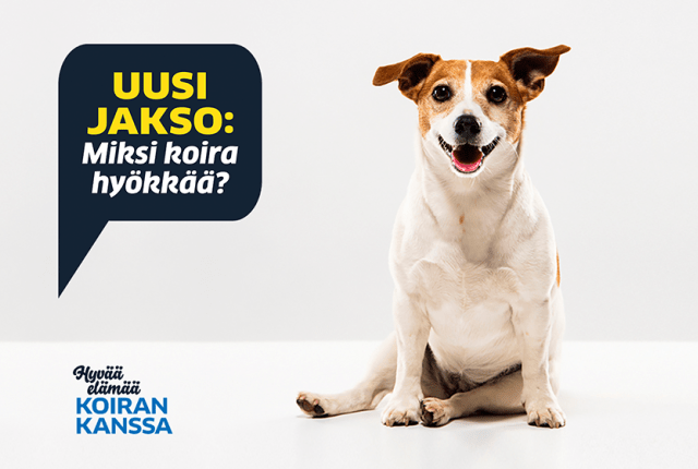 Kennelliiton podcast Miksi koira hyökkää 840 x 560
