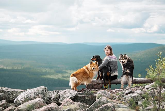 Koirat tunturissa_Paula Grekelä_840 x 560