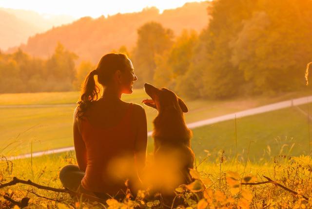 Nainen ja koira istuvat kauniissa maisemassa auringonlaskussa vierekkäin