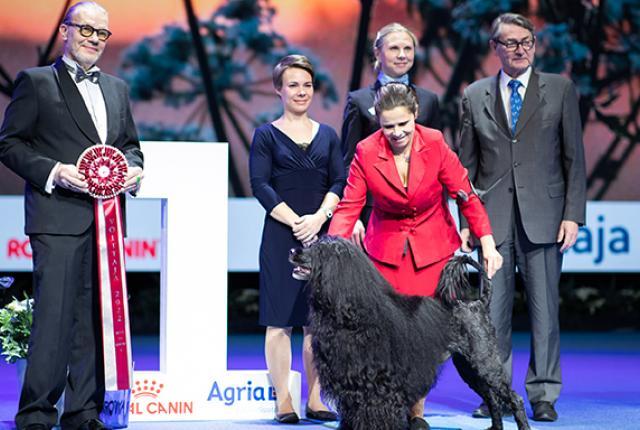 Voittaja 2022 BIS 720x384