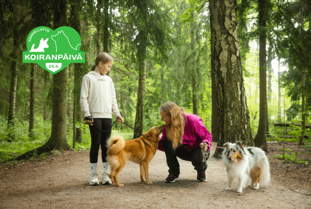 Koiranpäivä 2026