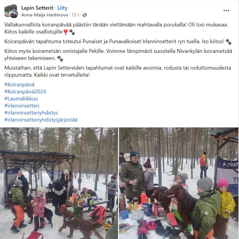 koirat ja omistajat koiranpäivän tapaamisessa