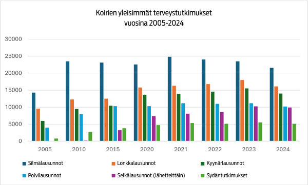 Koirien terveystutkimukset 2005-2024