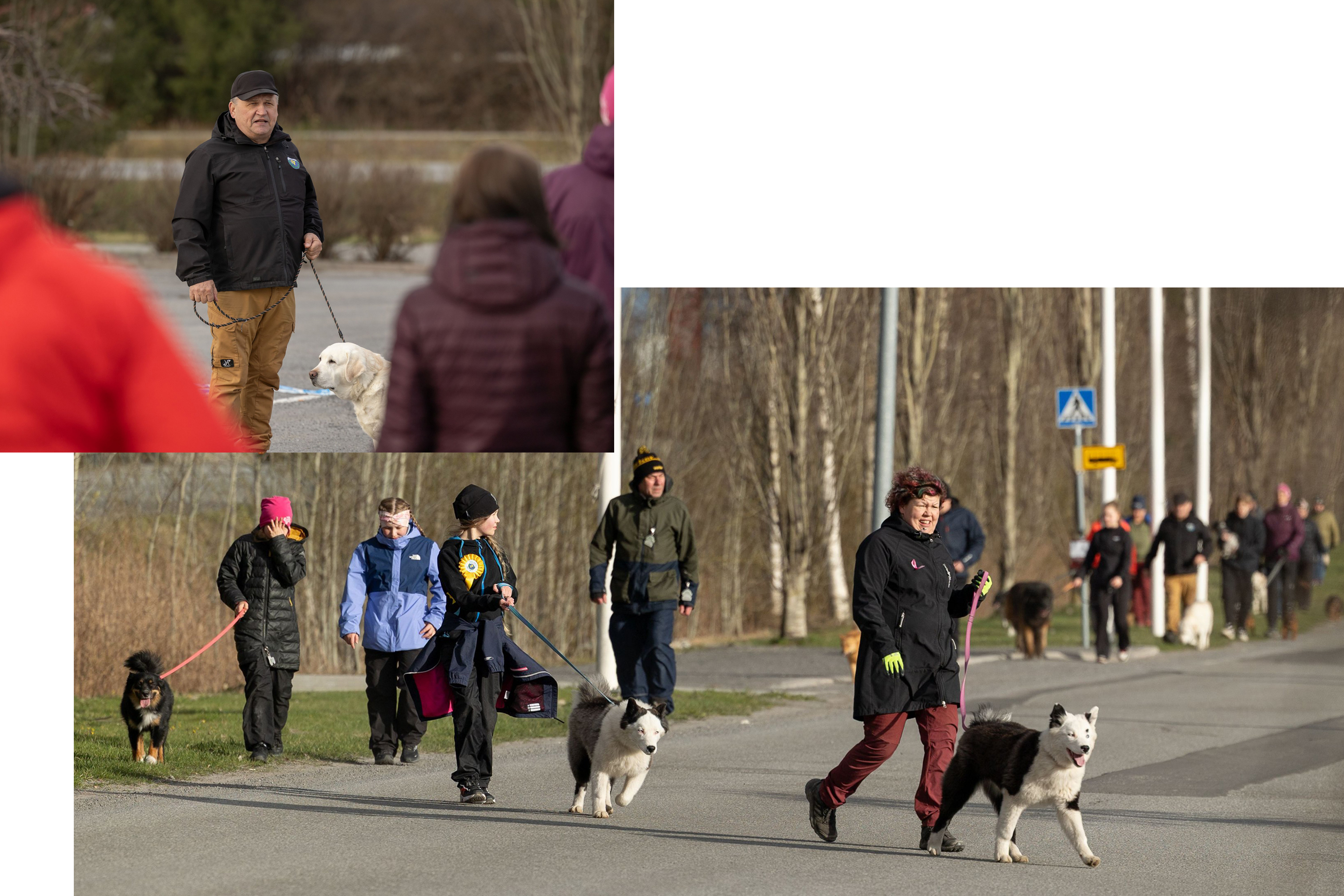 Kaksi kuvaa joista toisessa mies pitää puhetta ulkona yleisön edessä, toisessa suuri joukko ihmisiä koirineen on yhteislenkillä