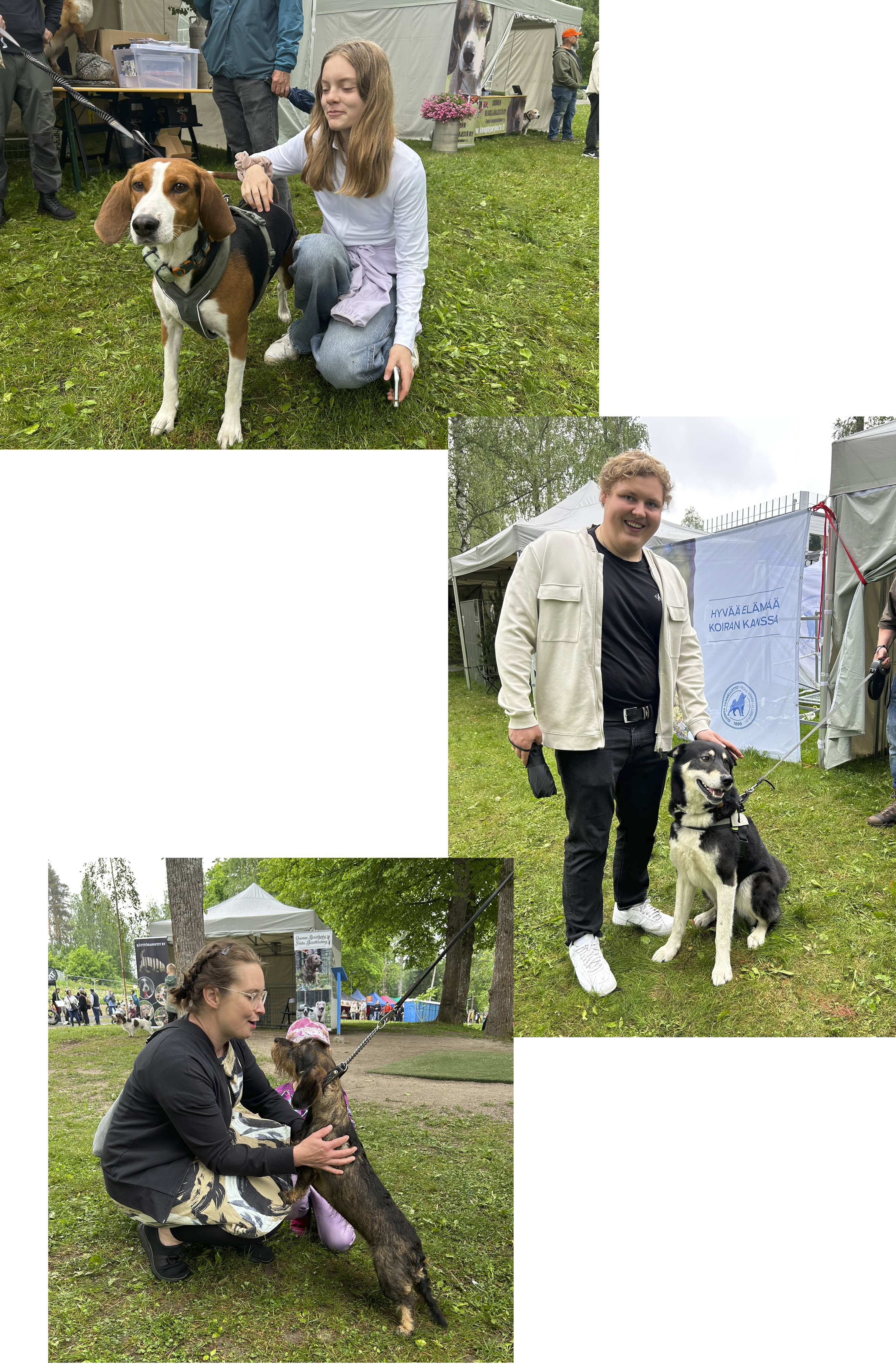 Kolme kuvaa joissa iloiset ihmiset silittävät koiria Erämessuilla