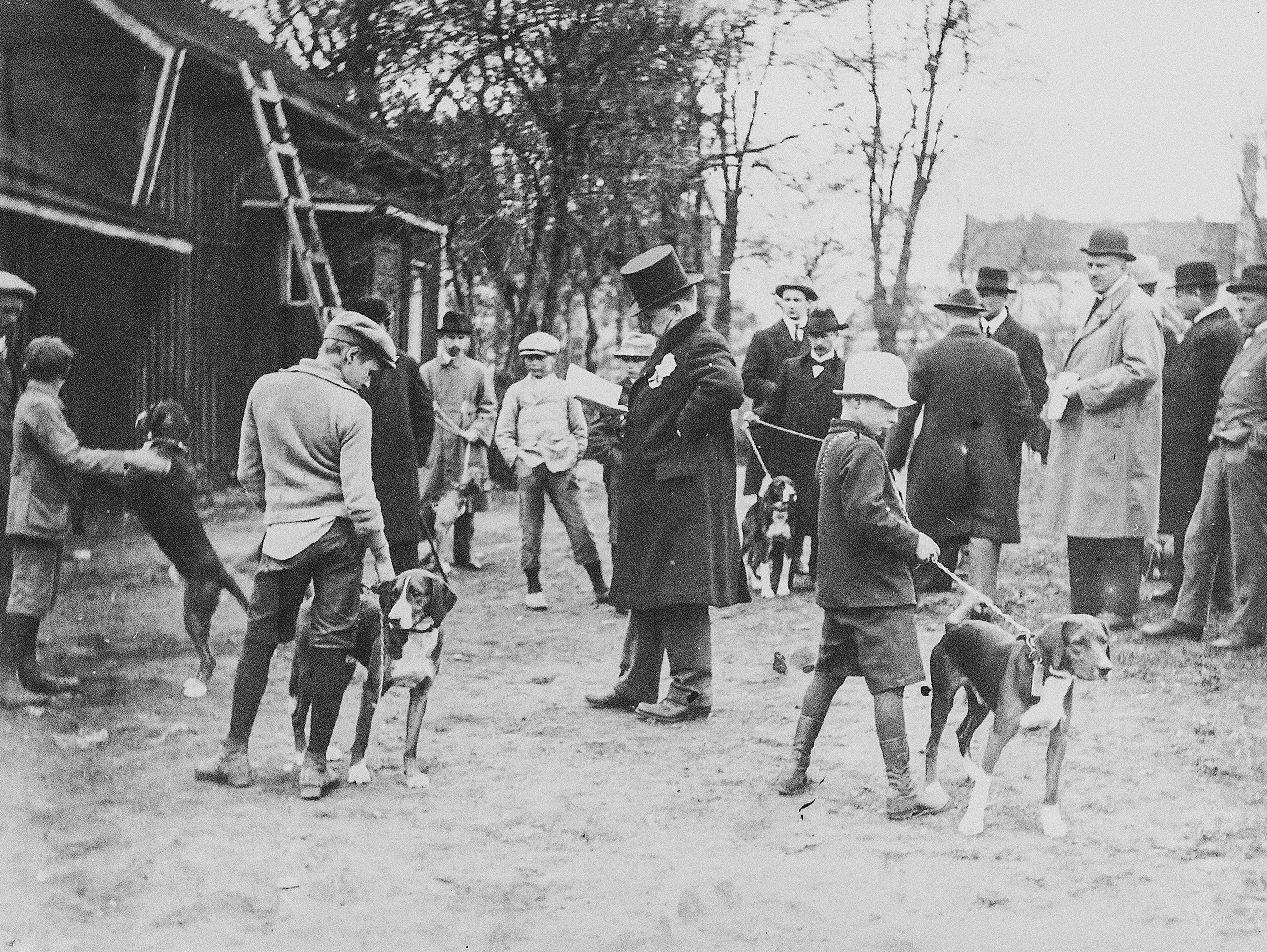 Mustavalkoinen kuva 1920-luvulta, jossa silinterihattuinen herra arvostelee ajokoiria rakennuksen pihapiirissä. Hattuhin ja päällystakkeihin pukeutuneet herrat seuraavat sivusta, kun nuoret pojat esittävät koiria.