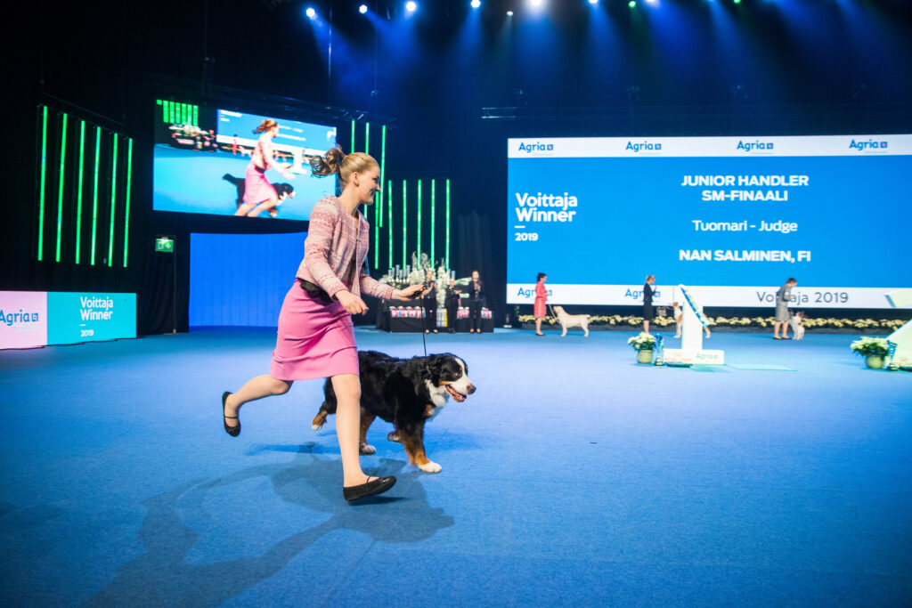 Koiramessut 2019 junior handler