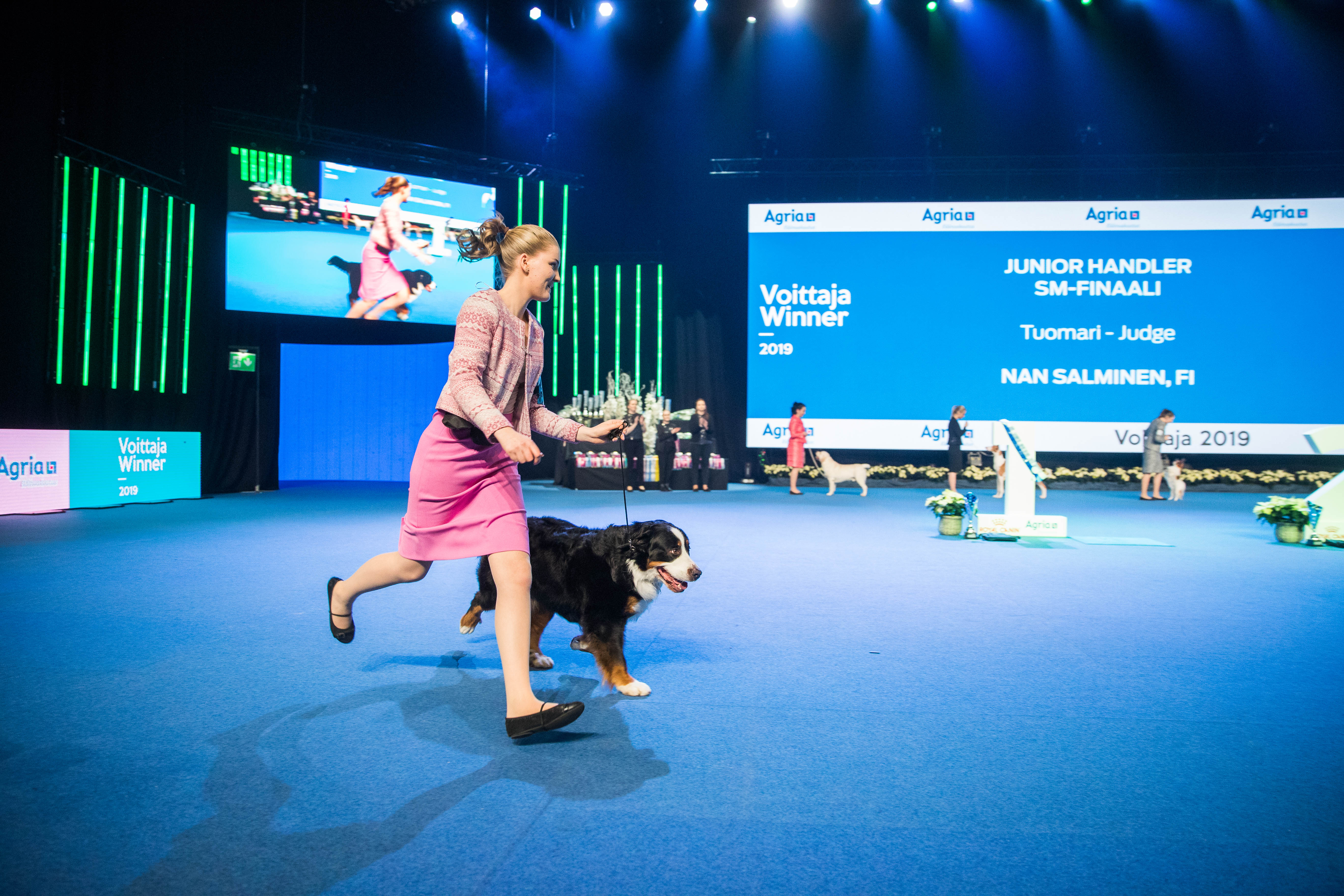 Koiramessut 2019 junior handler