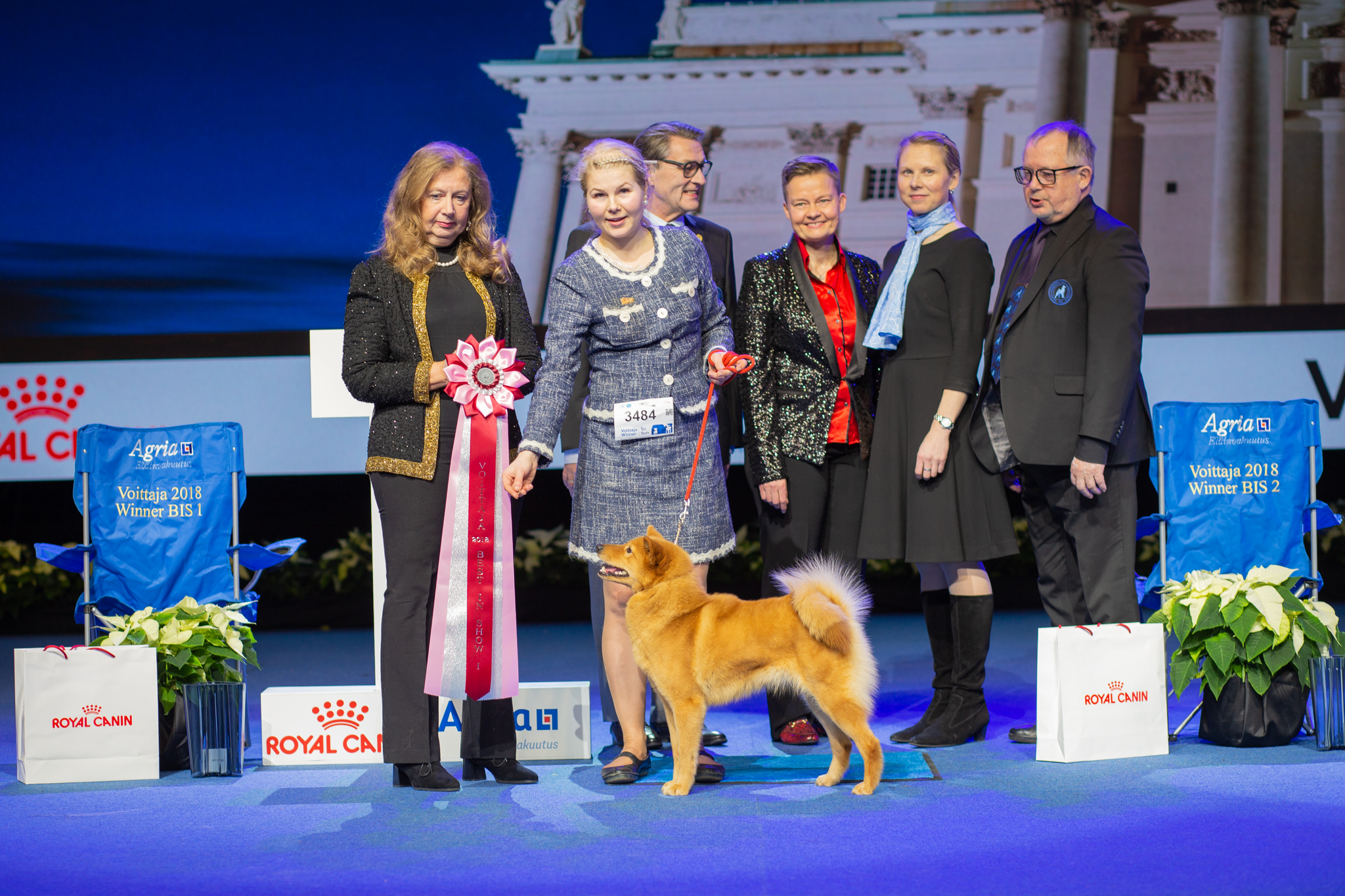 voittaja 2018 paras koira