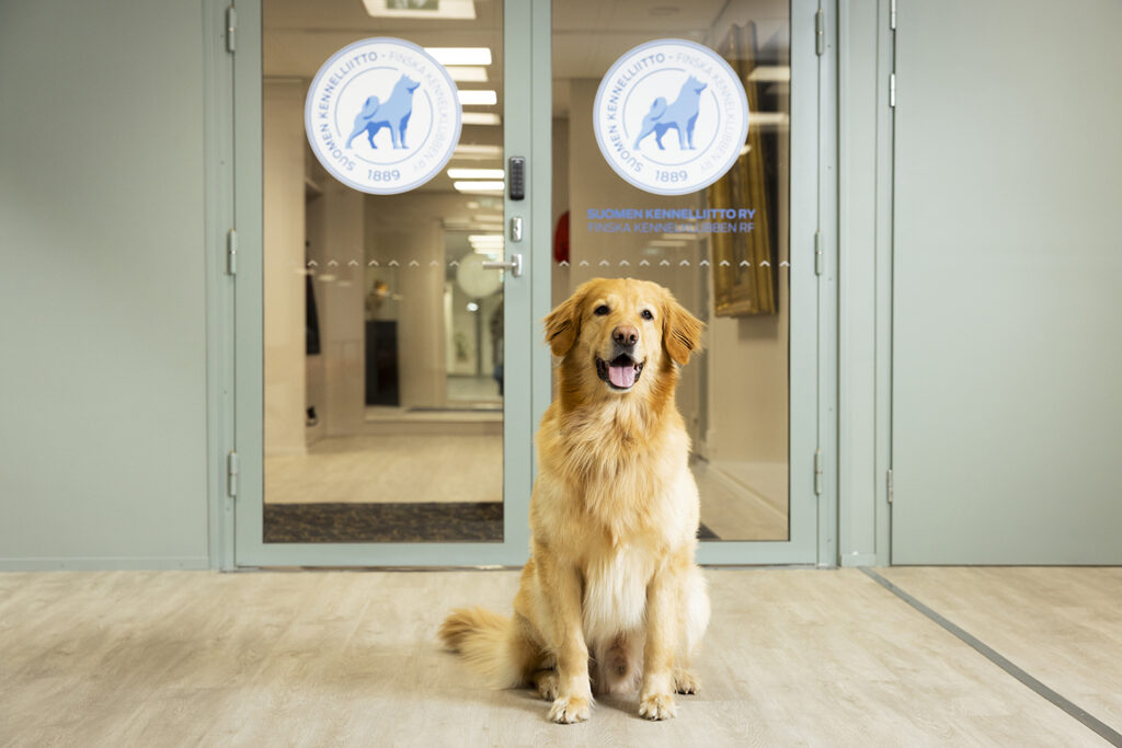 Toimiston ovet_Pekka Rousi_1440 x 960