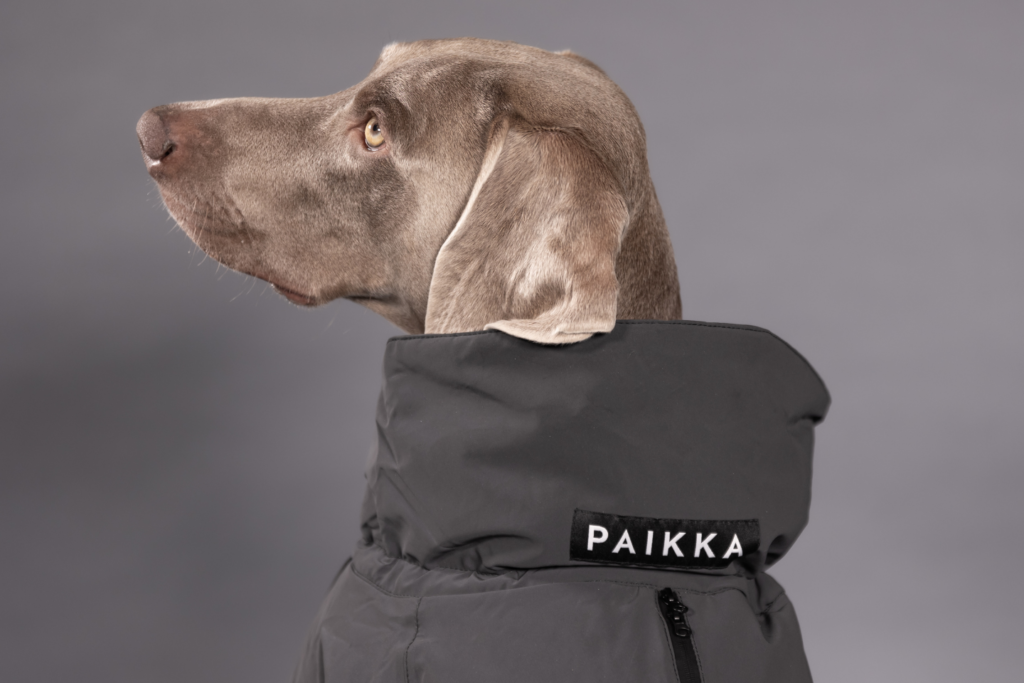 Paikka_1440 x 960