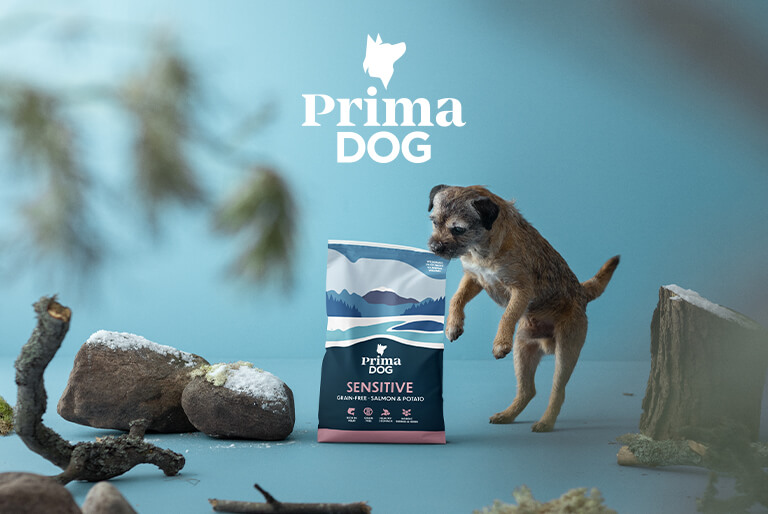 PrimaDog on Kennelliiton uusi yhteistyökumppani